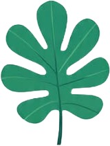 a green leaf shaped object on a white background 1.jpg